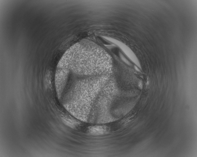 X0000082200567200702100004