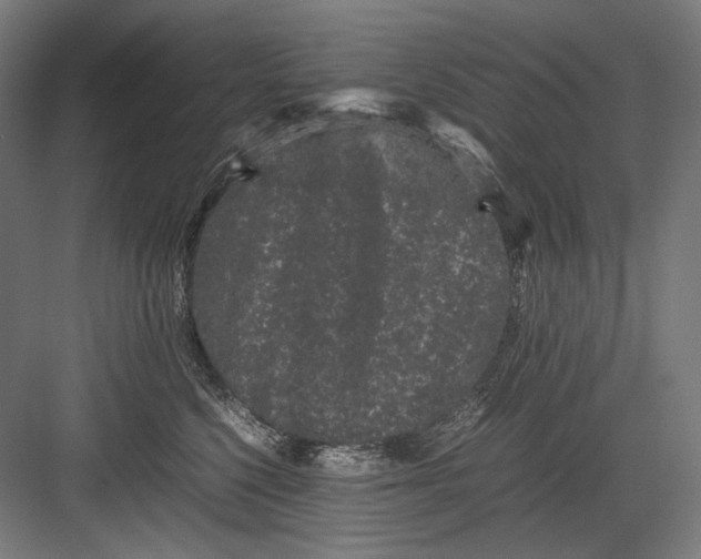 X0000082200568200702100004