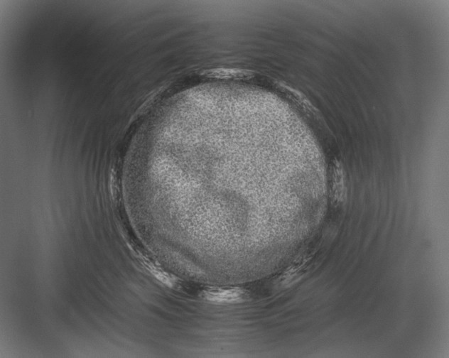 X0000082200569200702100004