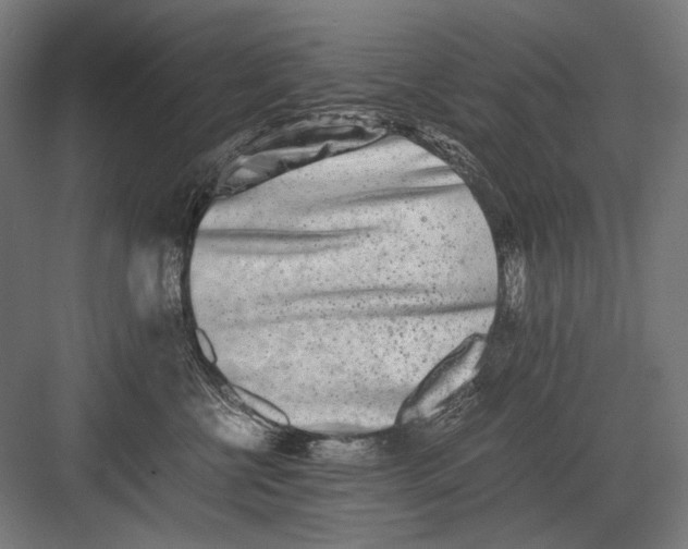 X0000082200570200702100004