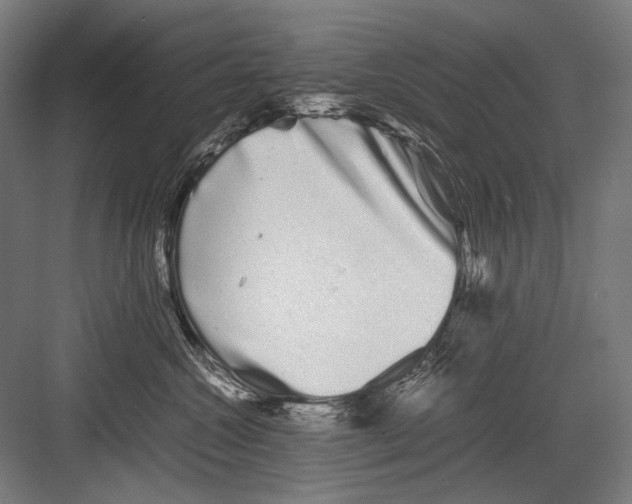 X0000082200572200702100004