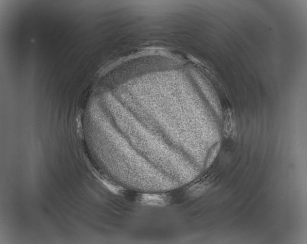 X0000082200573200702100004