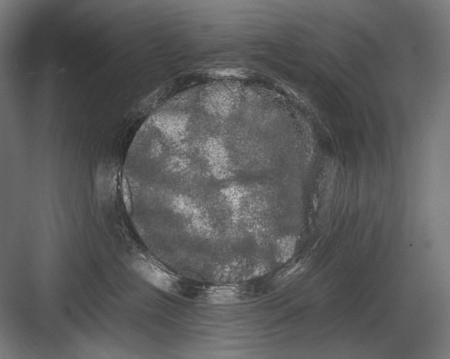 X0000082200574200702100004