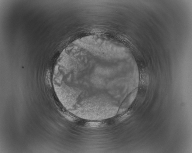 X0000082200575200702100004