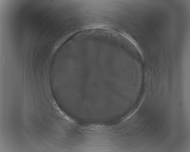 X0000082200577200702100003