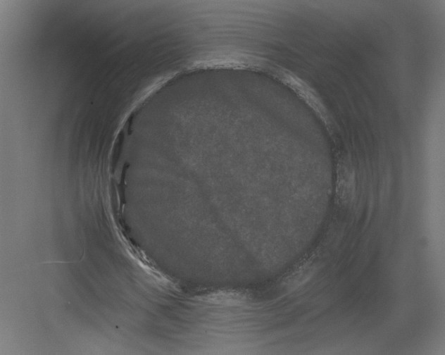 X0000082200578200702100003