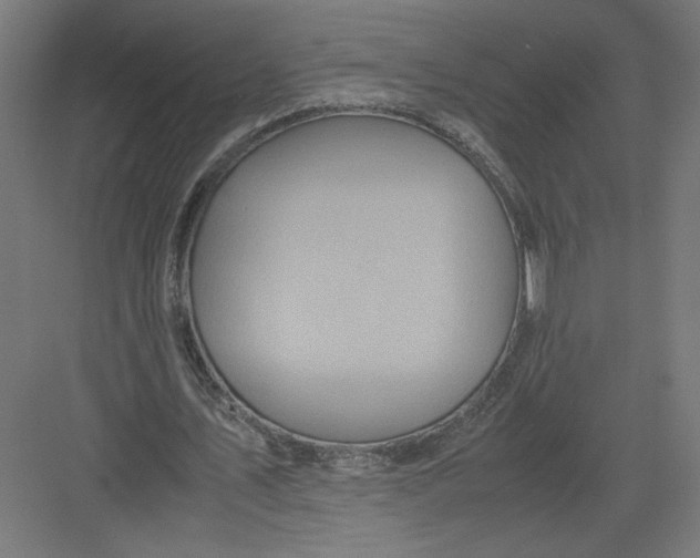 X0000082200579200702100003