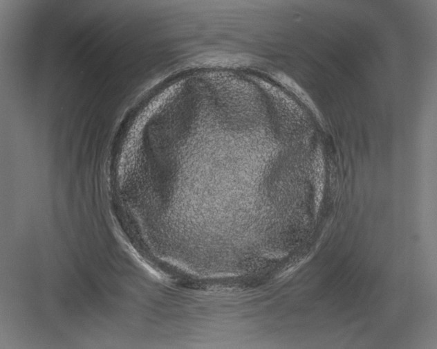 X0000082200581200702100003