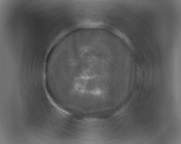 X0000082200582200702100003