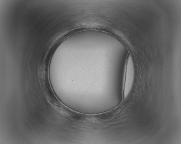 X0000082200583200702100003