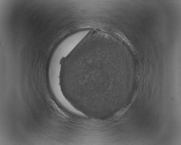 X0000082200585200702100003