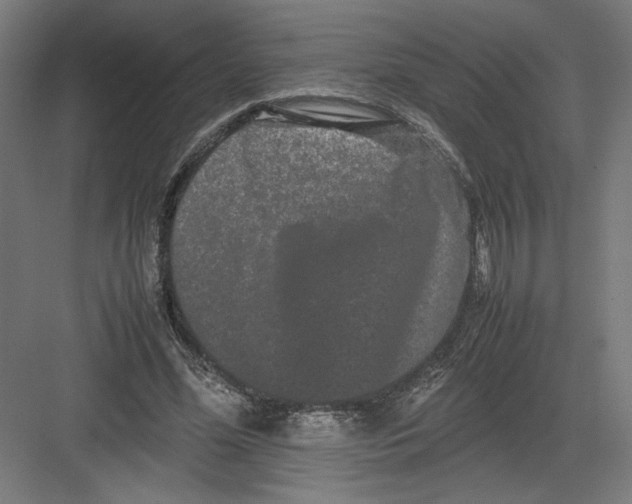 X0000082200588200702100003