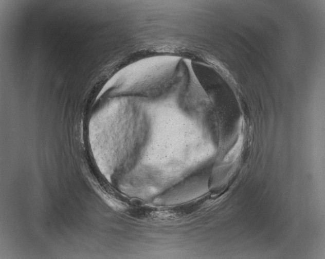 X0000082200589200702100003