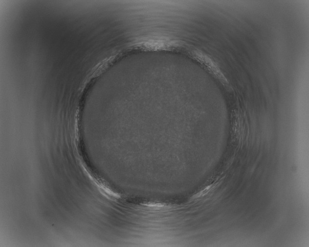 X0000082200590200702100003