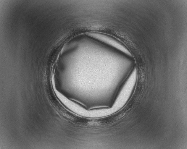 X0000082200591200702100003