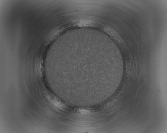 X0000082200592200702100003