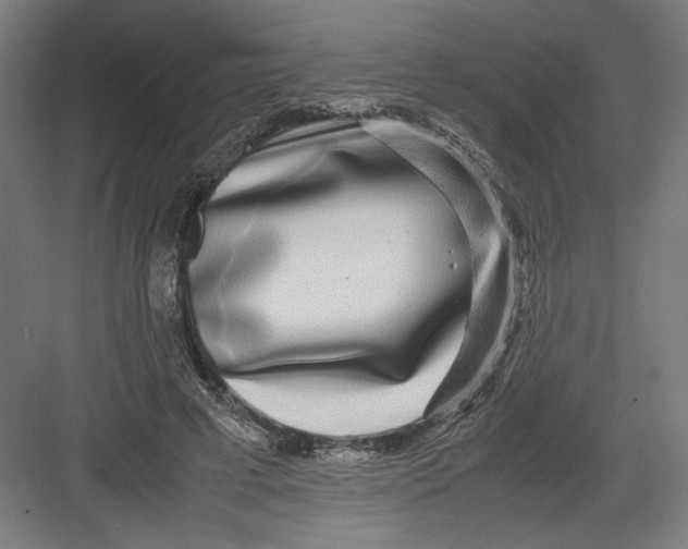 X0000082200593200702100003