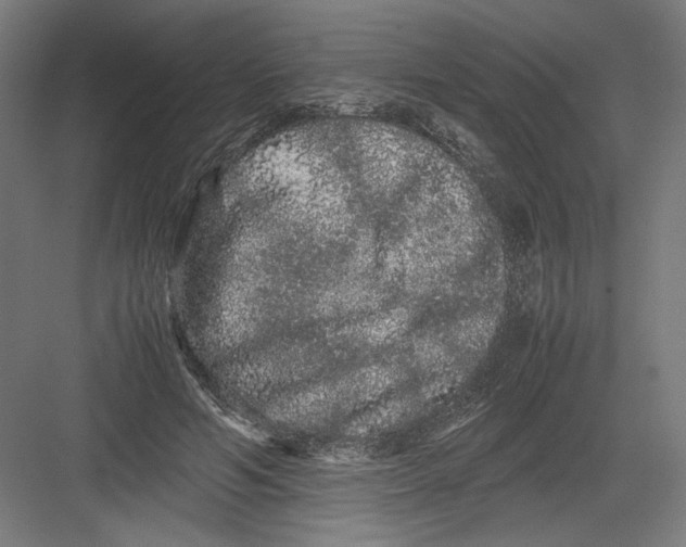 X0000082200594200702100003