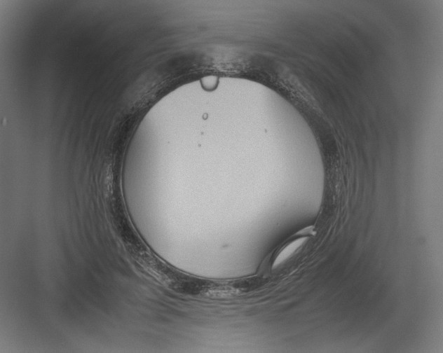 X0000082200595200702100003