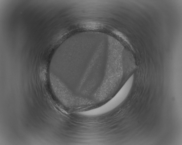 X0000082200596200702100003