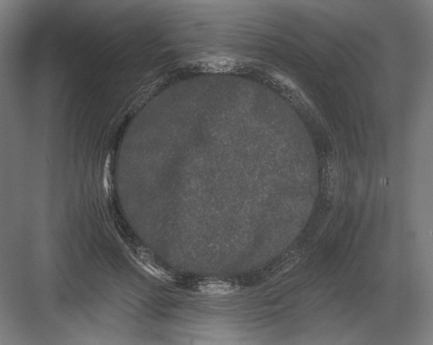 X0000082200598200702100003