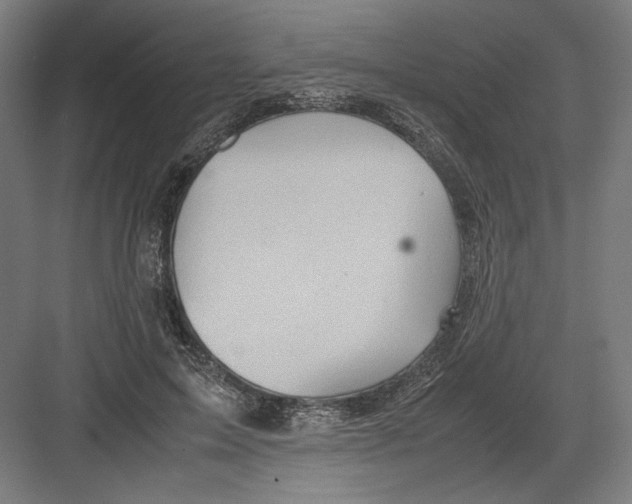 X0000082200599200702100003