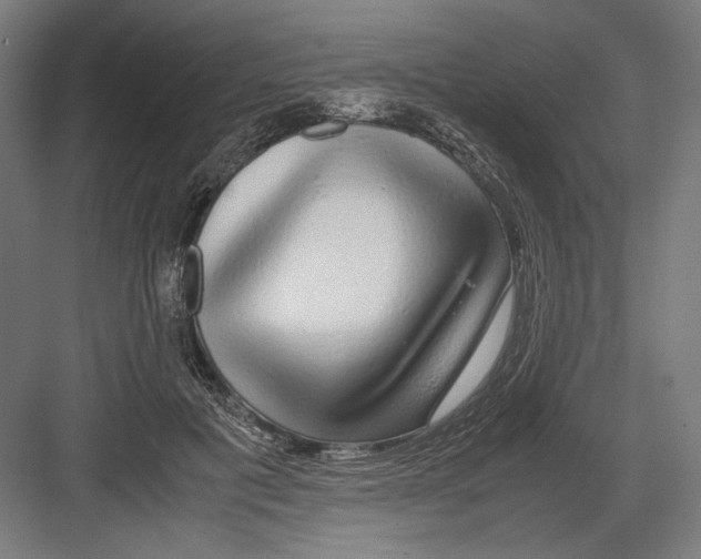 X0000082200601200702100003