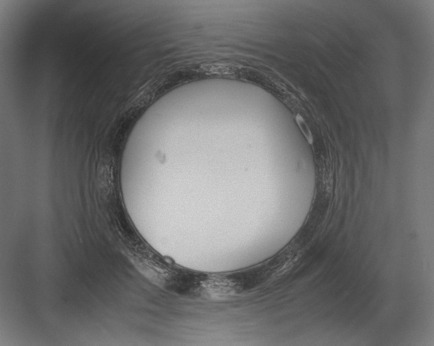 X0000082200603200702100003