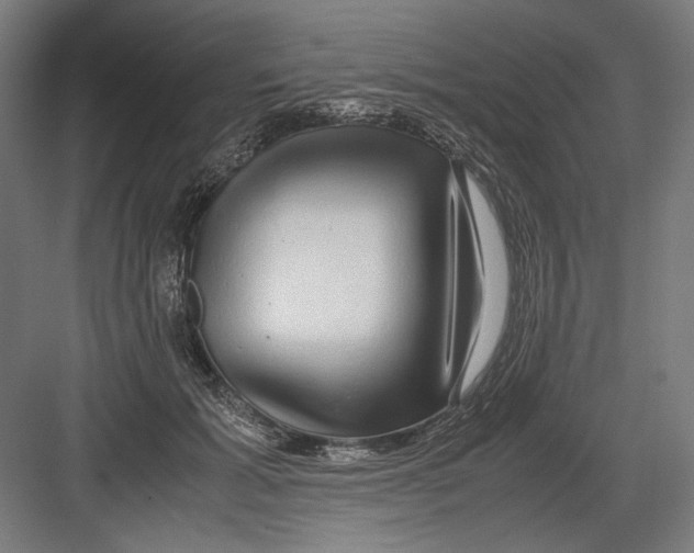 X0000082200605200702100003