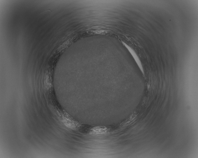 X0000082200606200702100003