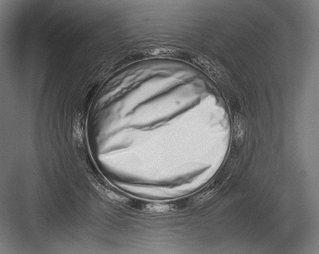 X0000082200607200702100003