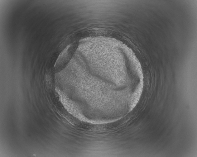 X0000082200609200702100003