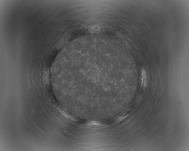 X0000082200610200702100003