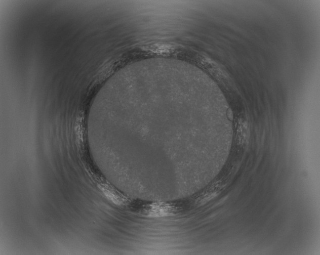 X0000082200612200702100003