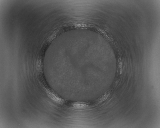 X0000082200614200702100003