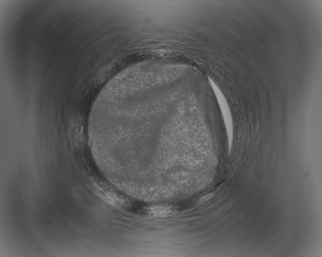 X0000082200615200702100003