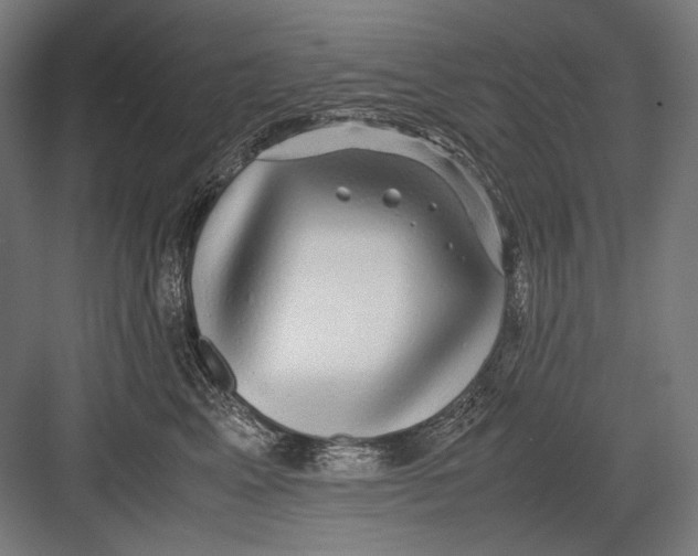 X0000082200617200702100003