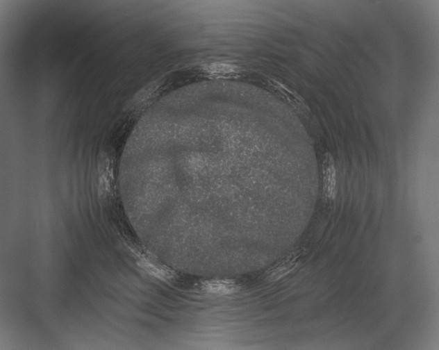 X0000082200618200702100003