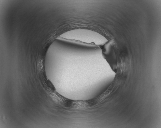 X0000082200621200702100003