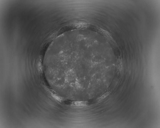 X0000082200622200702100003