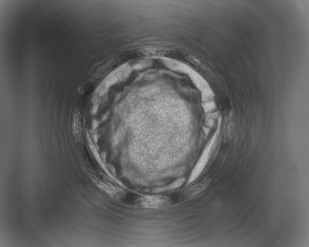 X0000082200623200702100003