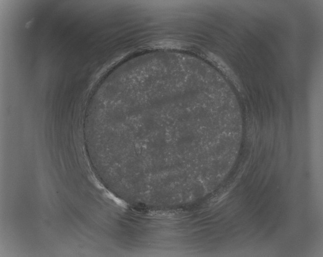 X0000082200625200702100002