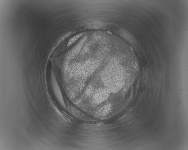 X0000082200626200702100002