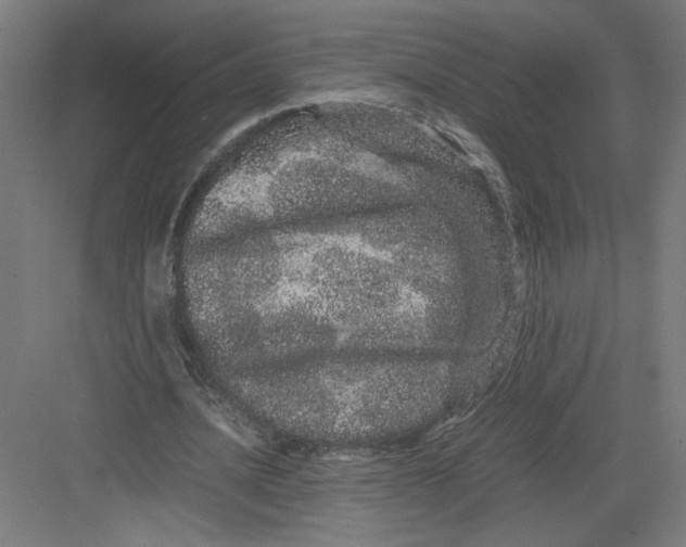 X0000082200628200702100002