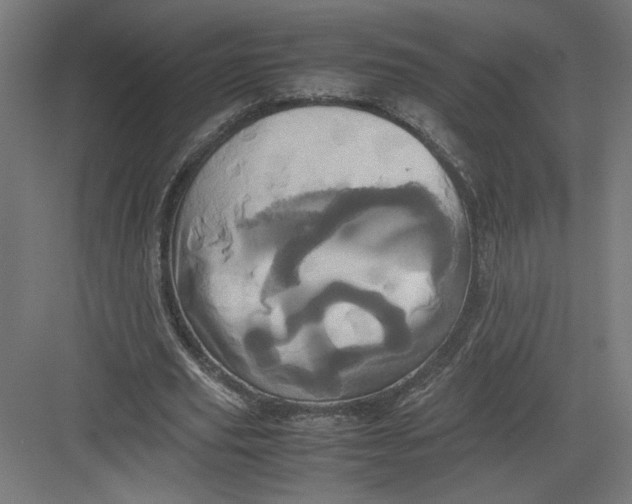 X0000082200629200702100002