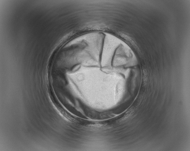 X0000082200630200702100002