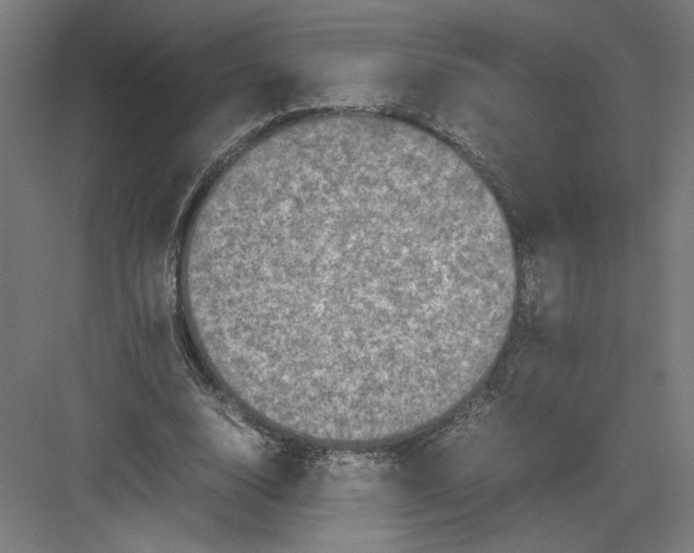 X0000082200632200702100002