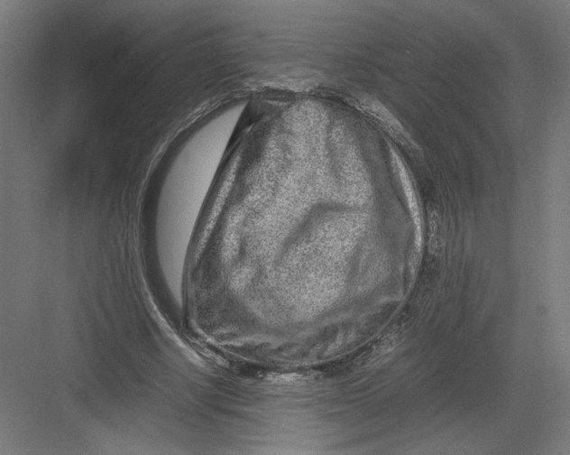 X0000082200634200702100002