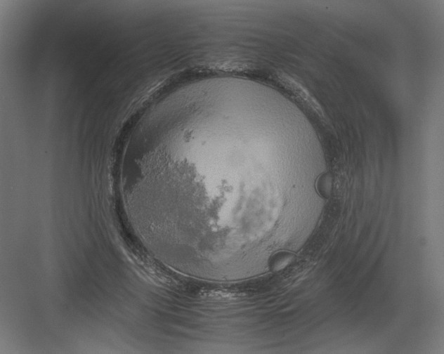 X0000082200635200702100002