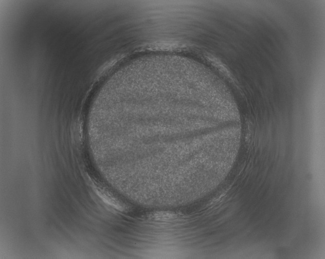 X0000082200636200702100002